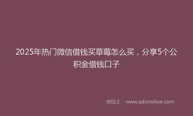 2025年热门微信借钱买草莓怎么买，分享5个公积金借钱口子
