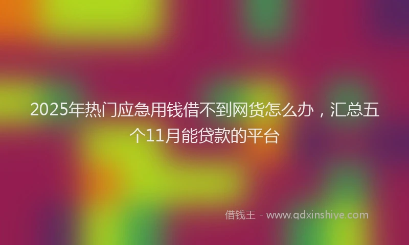 2025年热门应急用钱借不到网货怎么办，汇总五个11月能贷款的平台