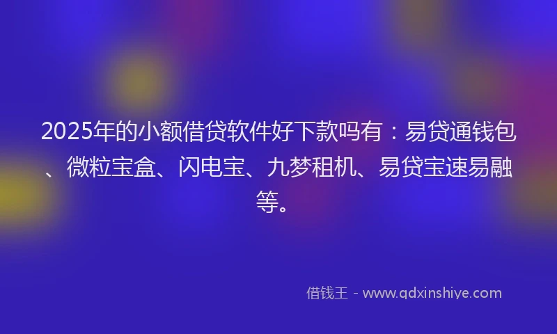 2025年的小额借贷软件好下款吗有：易贷通钱包、微粒宝盒、闪电宝、九梦租机、易贷宝速易融等。