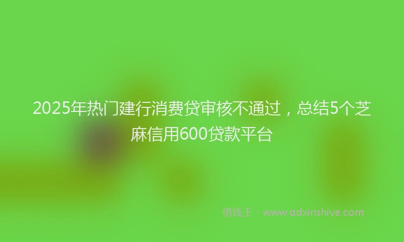 2025年热门建行消费贷审核不通过，总结5个芝麻信用600贷款平台