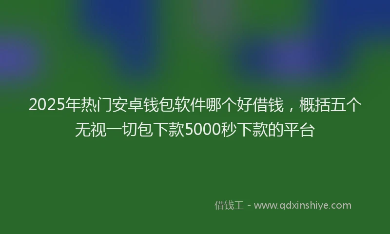 2025年热门安卓钱包软件哪个好借钱，概括五个无视一切包下款5000秒下款的平台