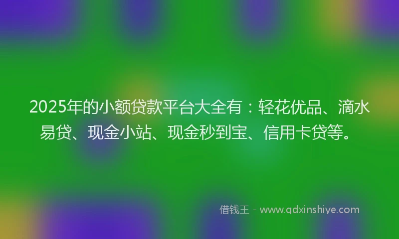 2025年的小额贷款平台大全有：轻花优品、滴水易贷、现金小站、现金秒到宝、信用卡贷等。