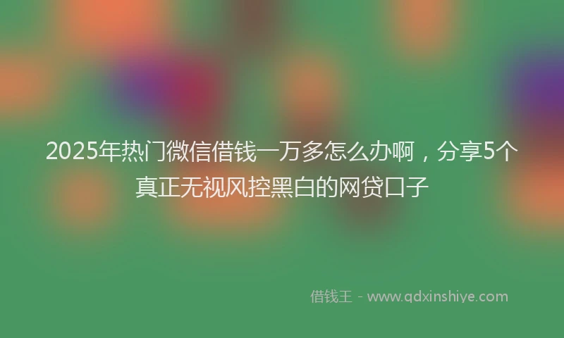 2025年热门微信借钱一万多怎么办啊，分享5个真正无视风控黑白的网贷口子