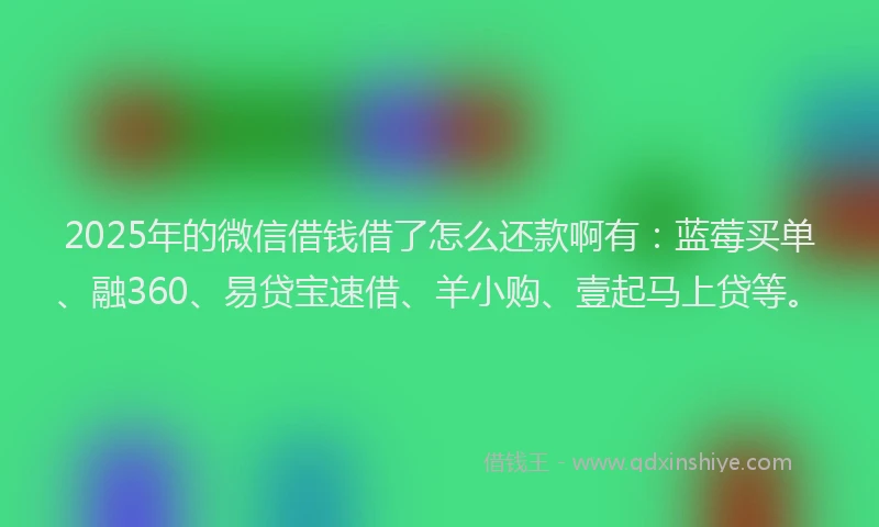 2025年的微信借钱借了怎么还款啊有：蓝莓买单、融360、易贷宝速借、羊小购、壹起马上贷等。