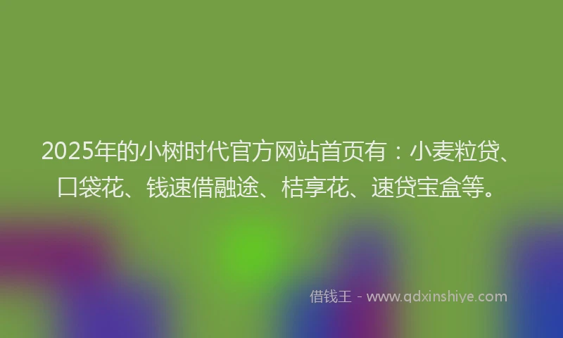 2025年的小树时代官方网站首页有：小麦粒贷、口袋花、钱速借融途、桔享花、速贷宝盒等。