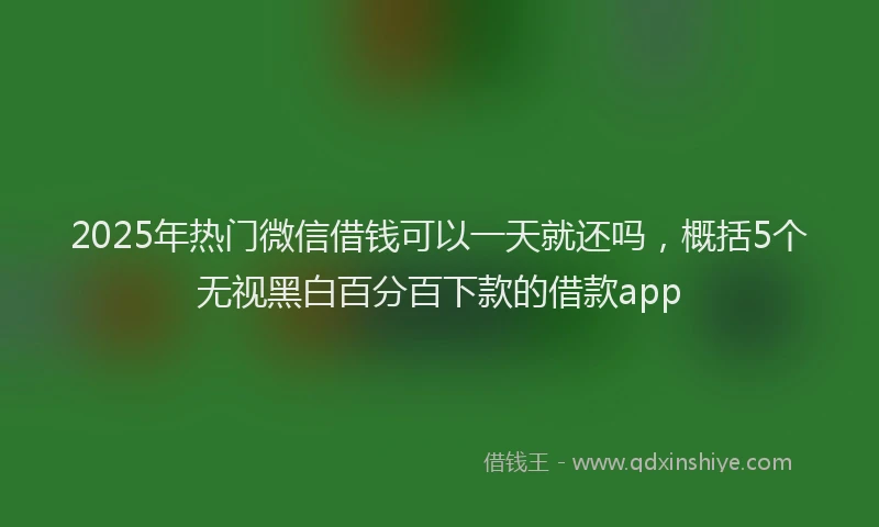 2025年热门微信借钱可以一天就还吗，概括5个无视黑白百分百下款的借款app
