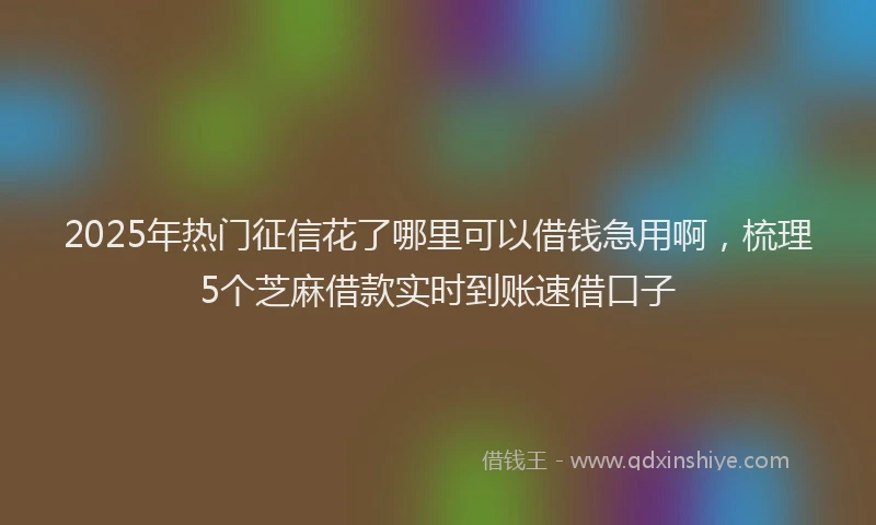 2025年热门征信花了哪里可以借钱急用啊，梳理5个芝麻借款实时到账速借口子