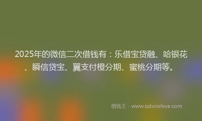 2025年的微信二次借钱有：乐借宝贷融、哈银花、瞬信贷宝、翼支付橙分期、蜜桃分期等。
