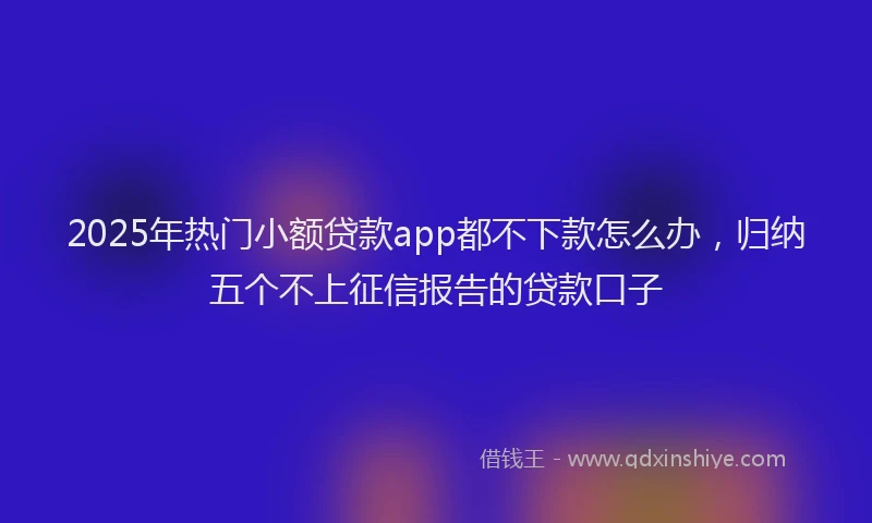 2025年热门小额贷款app都不下款怎么办，归纳五个不上征信报告的贷款口子