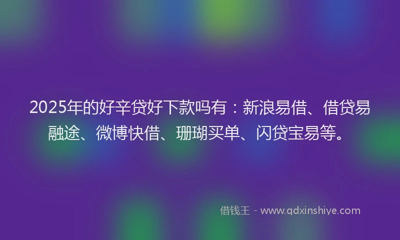 2025年的好辛贷好下款吗有：新浪易借、借贷易融途、微博快借、珊瑚买单、闪贷宝易等。