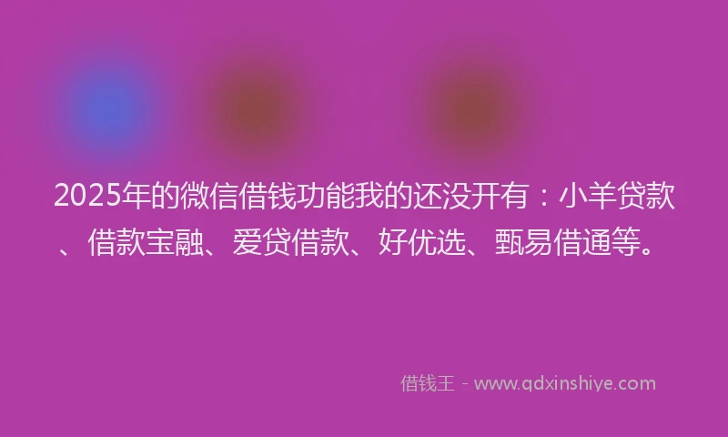 2025年的微信借钱功能我的还没开有：小羊贷款、借款宝融、爱贷借款、好优选、甄易借通等。