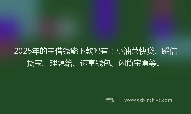 2025年的宝借钱能下款吗有：小油菜快贷、瞬信贷宝、理想给、速享钱包、闪贷宝盒等。