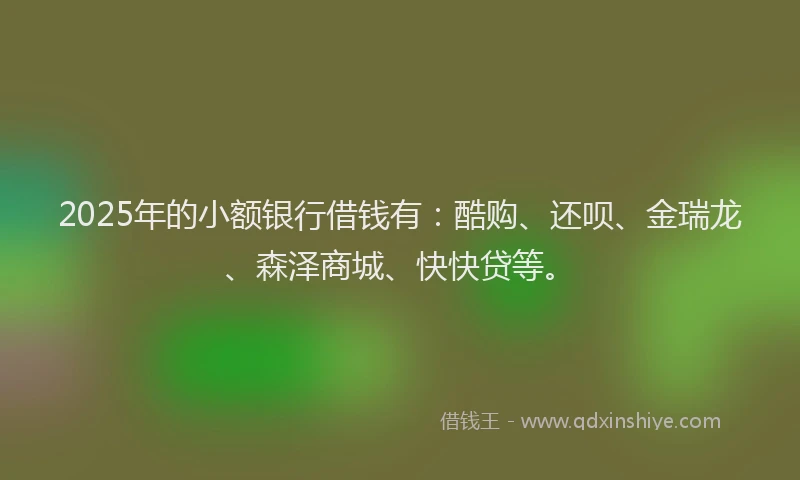 2025年的小额银行借钱有：酷购、还呗、金瑞龙、森泽商城、快快贷等。
