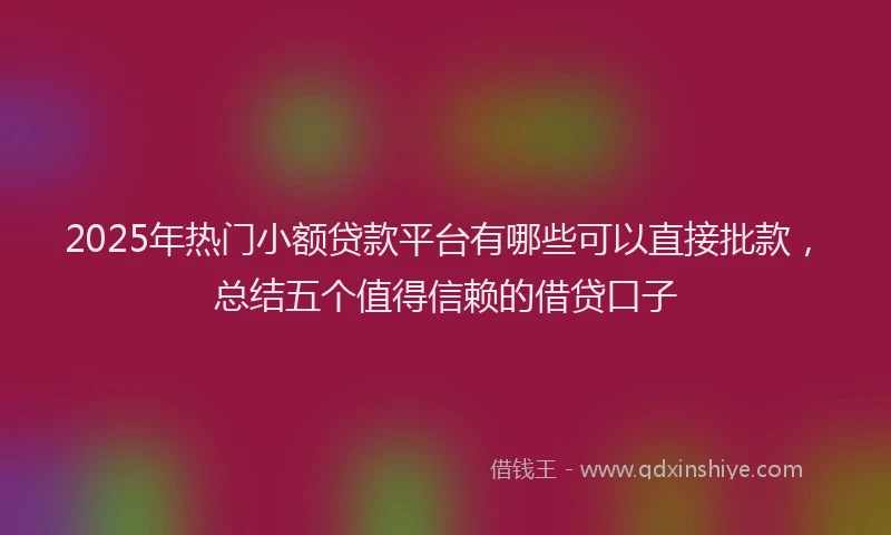 2025年热门小额贷款平台有哪些可以直接批款，总结五个值得信赖的借贷口子