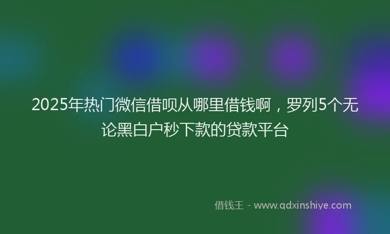 2025年热门微信借呗从哪里借钱啊，罗列5个无论黑白户秒下款的贷款平台