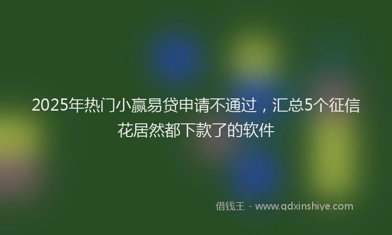 2025年热门小赢易贷申请不通过，汇总5个征信花居然都下款了的软件