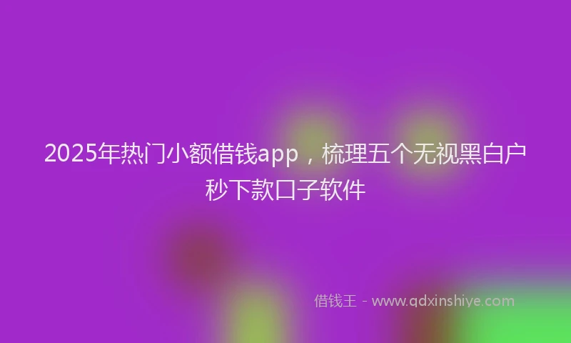 2025年热门小额借钱app，梳理五个无视黑白户秒下款口子软件