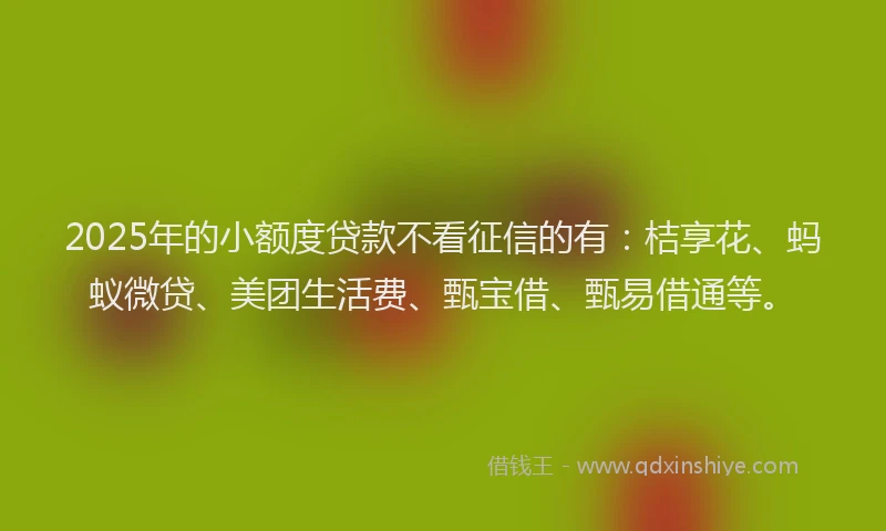 2025年的小额度贷款不看征信的有：桔享花、蚂蚁微贷、美团生活费、甄宝借、甄易借通等。