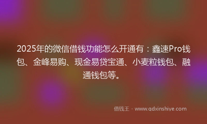 2025年的微信借钱功能怎么开通有：鑫速Pro钱包、金峰易购、现金易贷宝通、小麦粒钱包、融通钱包等。