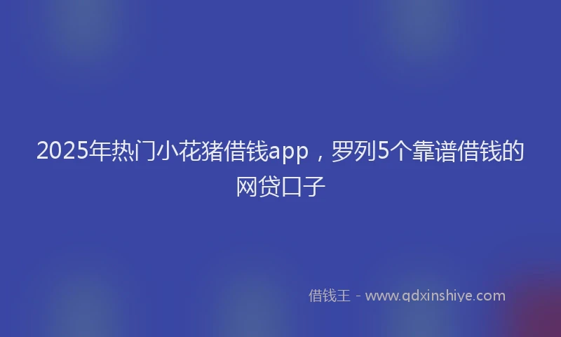 2025年热门小花猪借钱app，罗列5个靠谱借钱的网贷口子