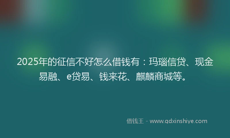 2025年的征信不好怎么借钱有：玛瑙信贷、现金易融、e贷易、钱来花、麒麟商城等。
