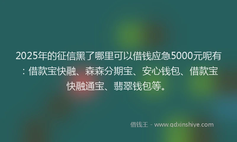 2025年的征信黑了哪里可以借钱应急5000元呢有：借款宝快融、森森分期宝、安心钱包、借款宝快融通宝、翡翠钱包等。