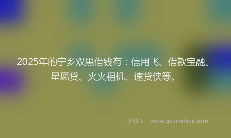 2025年的宁乡双黑借钱有：信用飞、借款宝融、星愿贷、火火租机、速贷侠等。