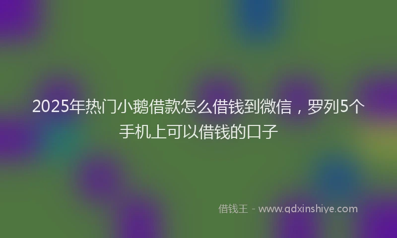 2025年热门小鹅借款怎么借钱到微信，罗列5个手机上可以借钱的口子