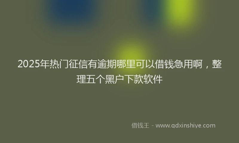 2025年热门征信有逾期哪里可以借钱急用啊，整理五个黑户下款软件