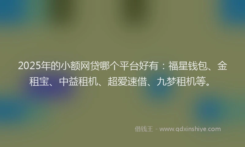 2025年的小额网贷哪个平台好有：福星钱包、金租宝、中益租机、超爱速借、九梦租机等。
