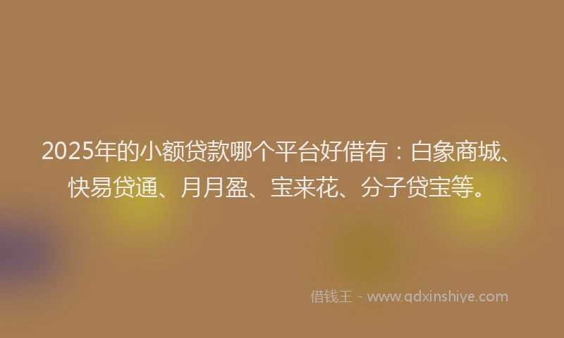 2025年的小额贷款哪个平台好借有：白象商城、快易贷通、月月盈、宝来花、分子贷宝等。