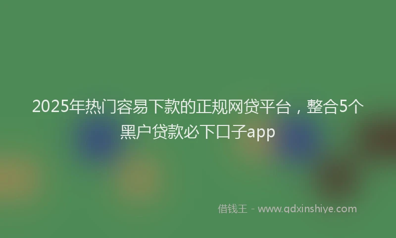 2025年热门容易下款的正规网贷平台，整合5个黑户贷款必下口子app