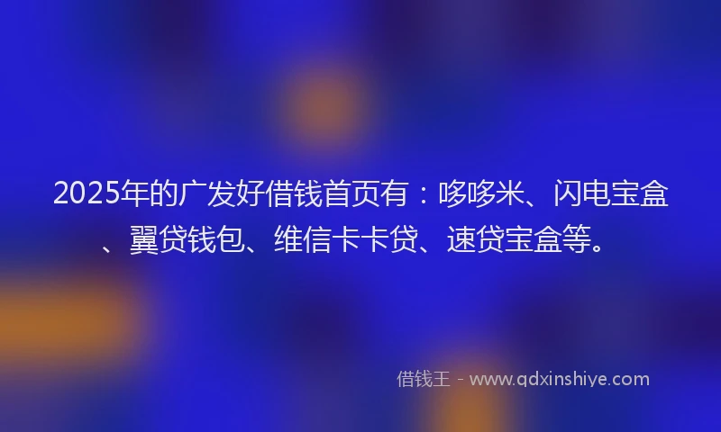 2025年的广发好借钱首页有：哆哆米、闪电宝盒、翼贷钱包、维信卡卡贷、速贷宝盒等。