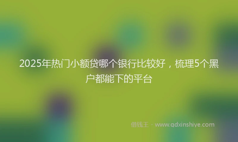 2025年热门小额贷哪个银行比较好，梳理5个黑户都能下的平台