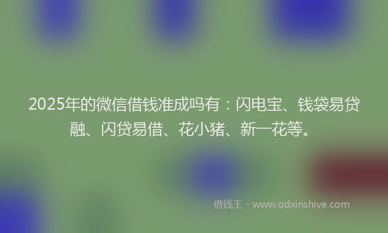 2025年的微信借钱准成吗有：闪电宝、钱袋易贷融、闪贷易借、花小猪、新一花等。
