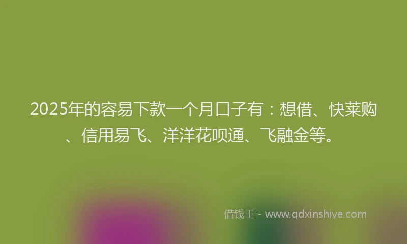 2025年的容易下款一个月口子有：想借、快莱购、信用易飞、洋洋花呗通、飞融金等。