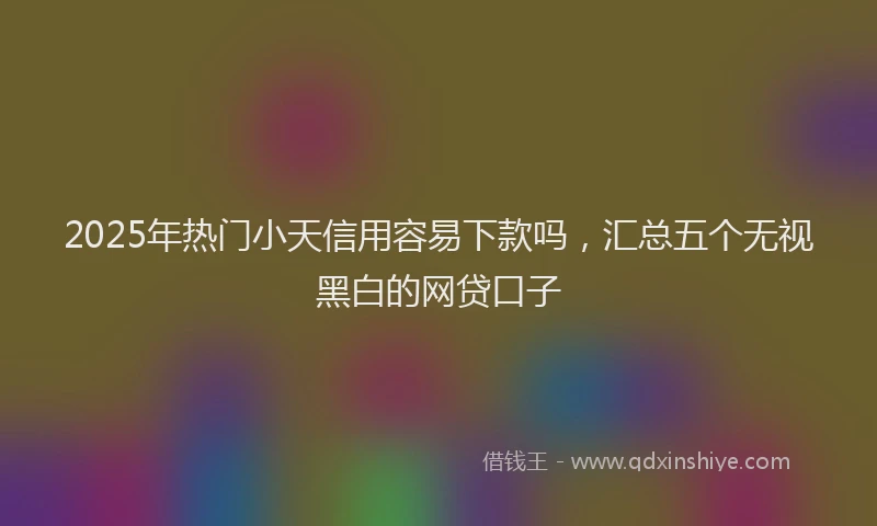 2025年热门小天信用容易下款吗，汇总五个无视黑白的网贷口子