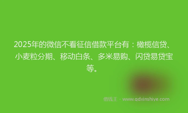 2025年的微信不看征信借款平台有：橄榄信贷、小麦粒分期、移动白条、多米易购、闪贷易贷宝等。