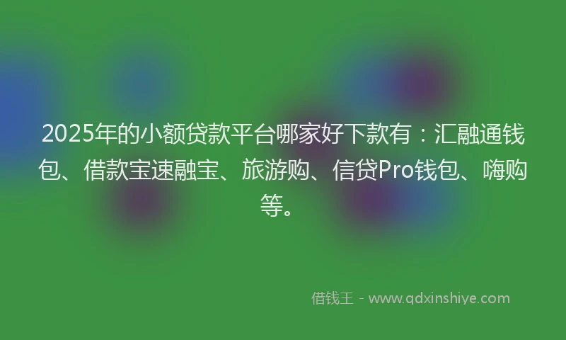 2025年的小额贷款平台哪家好下款有：汇融通钱包、借款宝速融宝、旅游购、信贷Pro钱包、嗨购等。