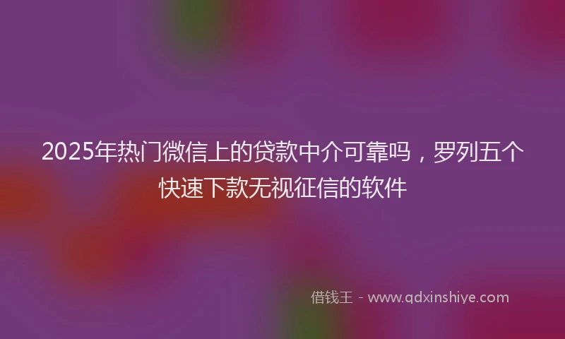 2025年热门微信上的贷款中介可靠吗，罗列五个快速下款无视征信的软件