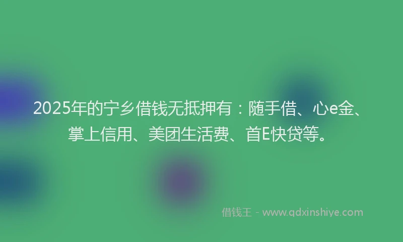 2025年的宁乡借钱无抵押有：随手借、心e金、掌上信用、美团生活费、首E快贷等。