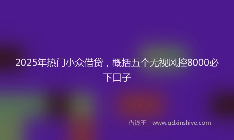 2025年热门小众借贷，概括五个无视风控8000必下口子