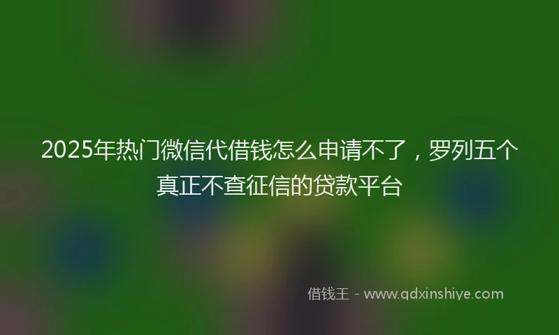 2025年热门微信代借钱怎么申请不了，罗列五个真正不查征信的贷款平台