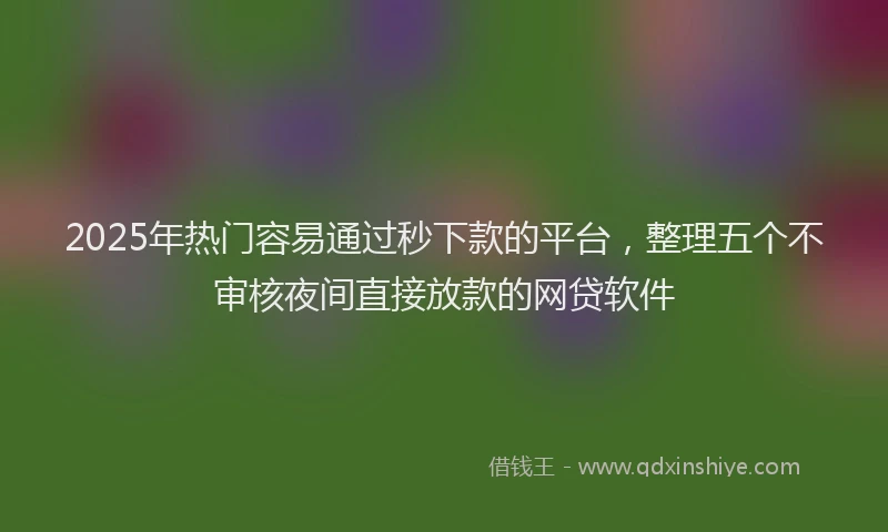 2025年热门容易通过秒下款的平台，整理五个不审核夜间直接放款的网贷软件