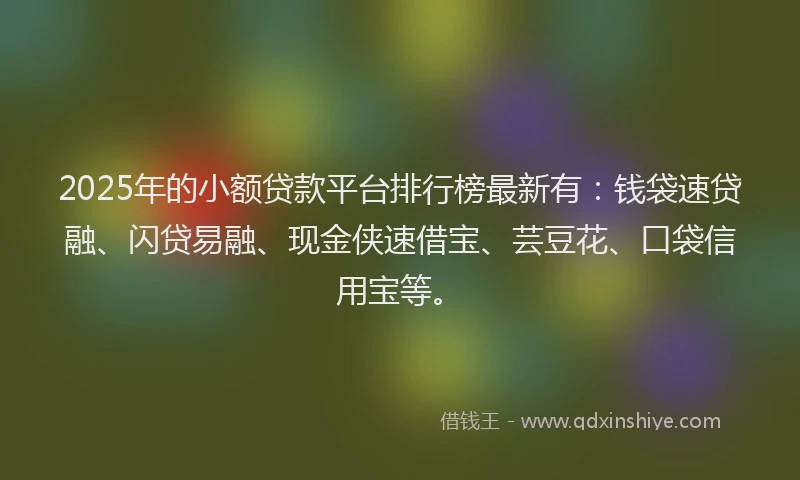 2025年的小额贷款平台排行榜最新有：钱袋速贷融、闪贷易融、现金侠速借宝、芸豆花、口袋信用宝等。