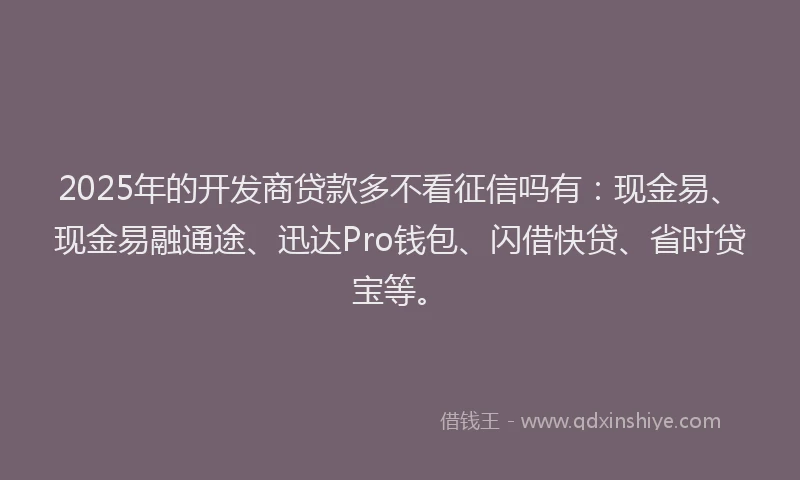 2025年的开发商贷款多不看征信吗有：现金易、现金易融通途、迅达Pro钱包、闪借快贷、省时贷宝等。