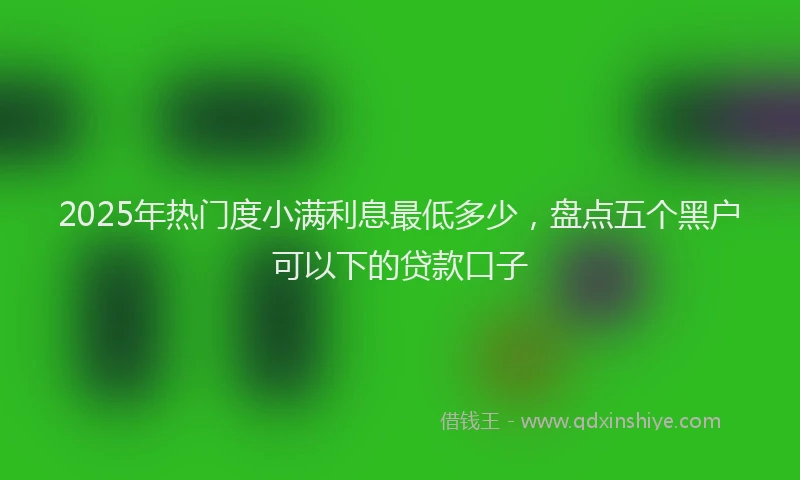 2025年热门度小满利息最低多少，盘点五个黑户可以下的贷款口子
