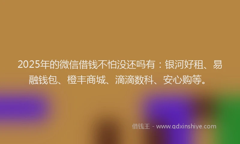 2025年的微信借钱不怕没还吗有：银河好租、易融钱包、橙丰商城、滴滴数科、安心购等。