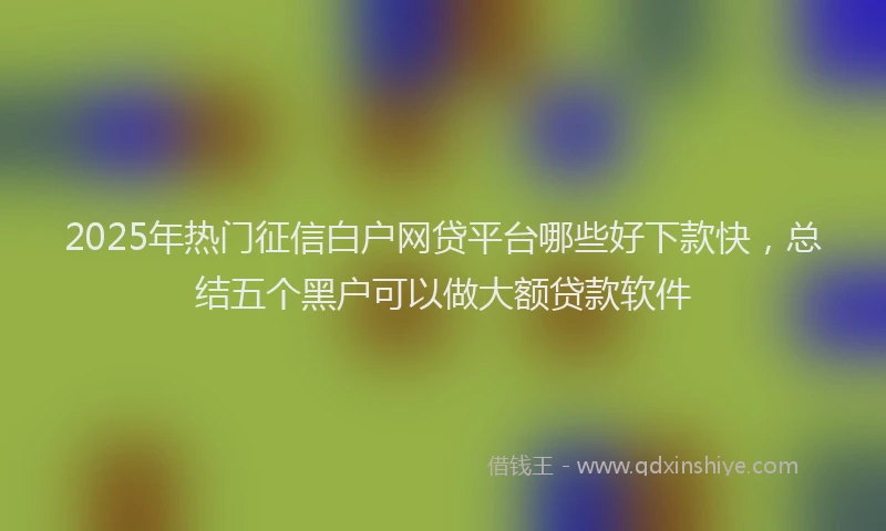 2025年热门征信白户网贷平台哪些好下款快，总结五个黑户可以做大额贷款软件