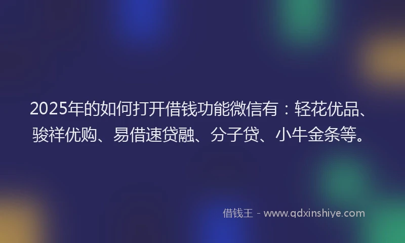 2025年的如何打开借钱功能微信有：轻花优品、骏祥优购、易借速贷融、分子贷、小牛金条等。